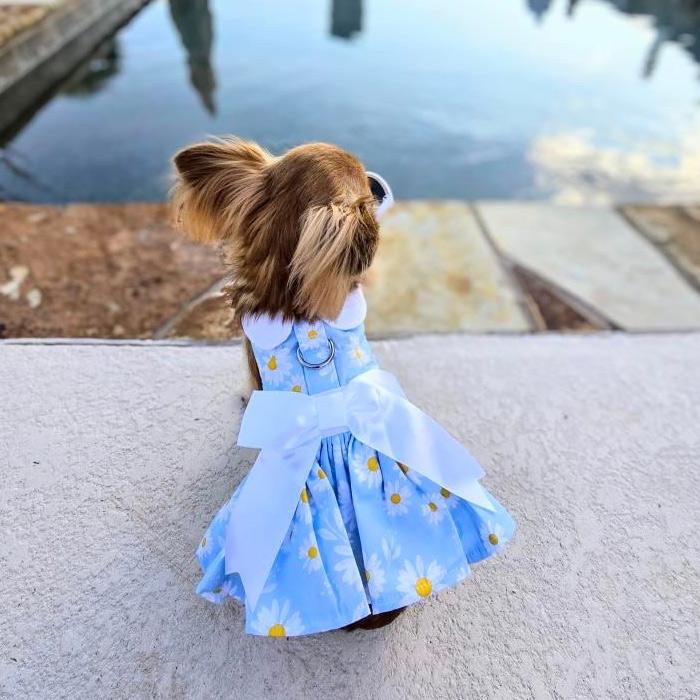 Blue Daisy Dog Dress with Matching Leash - Image 4