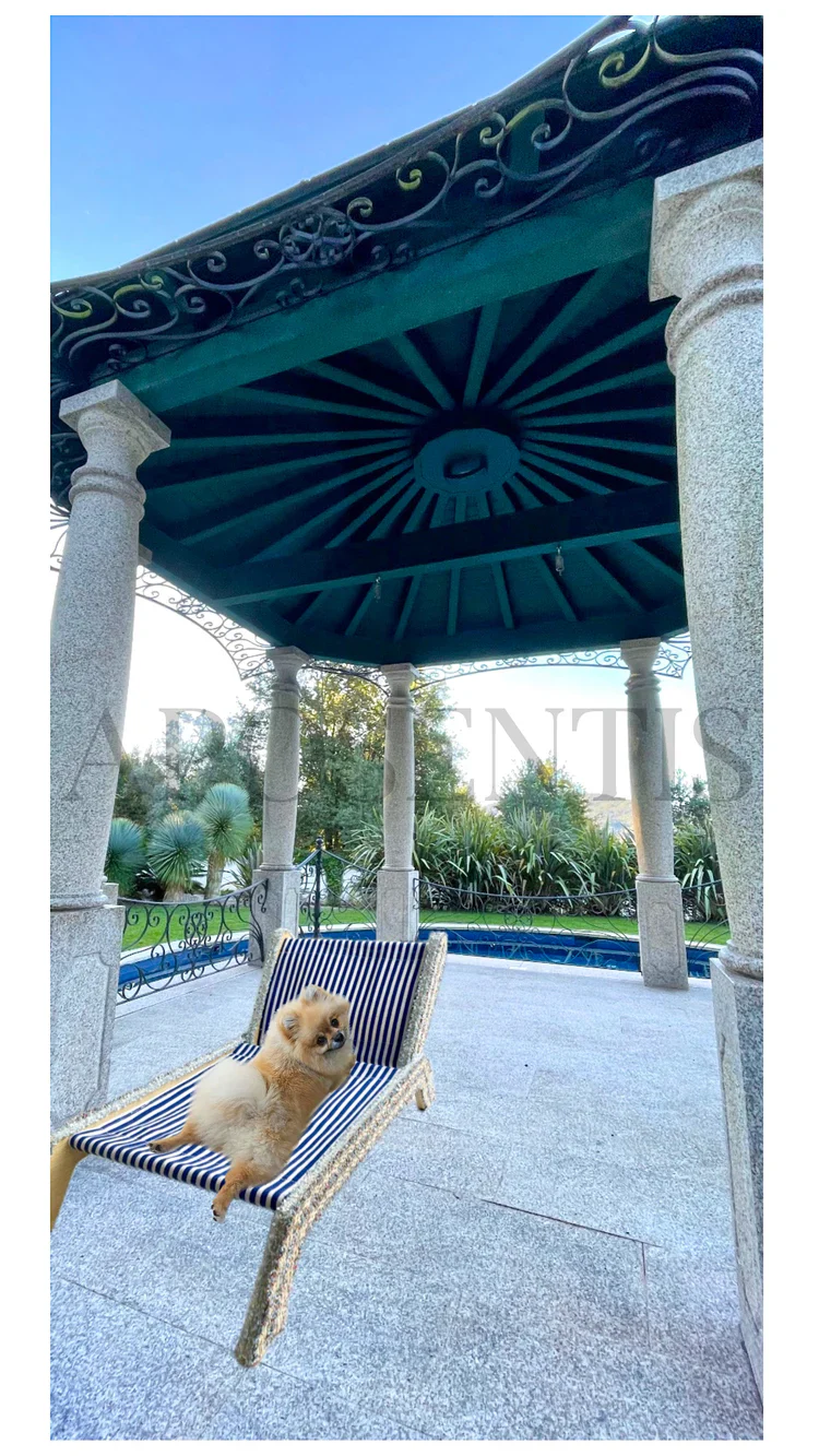 Como Pet Sun Lounger - Image 4