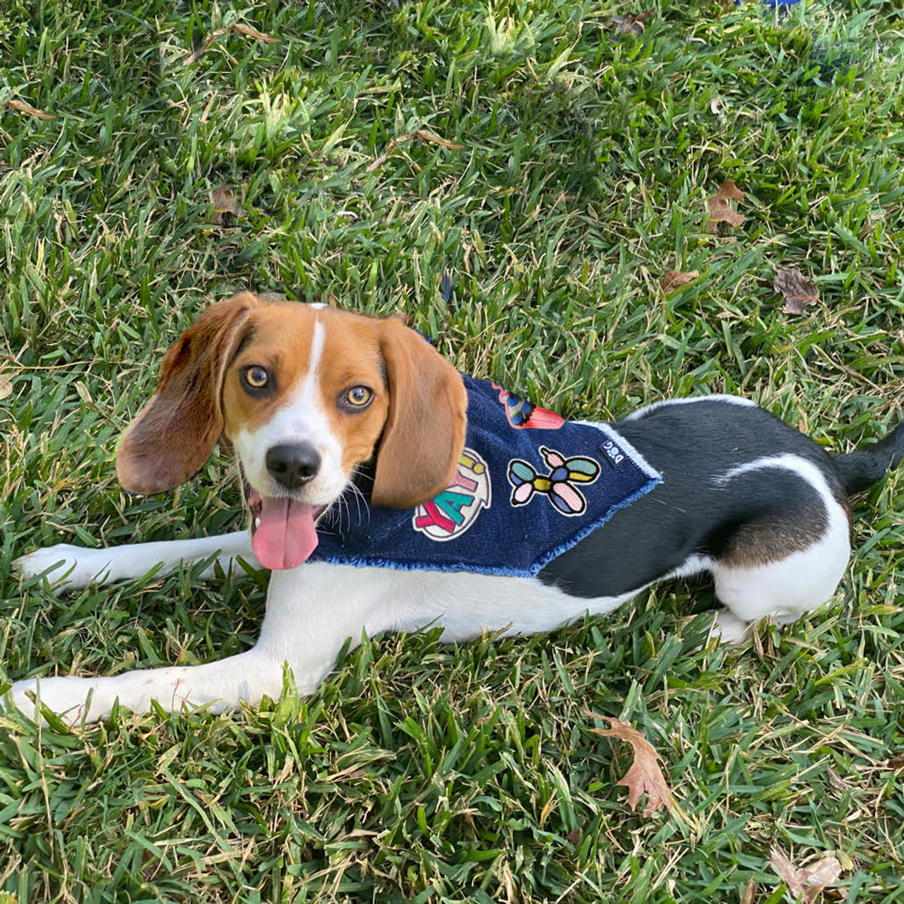 Custom Denim Bandana with Patches - Image 5