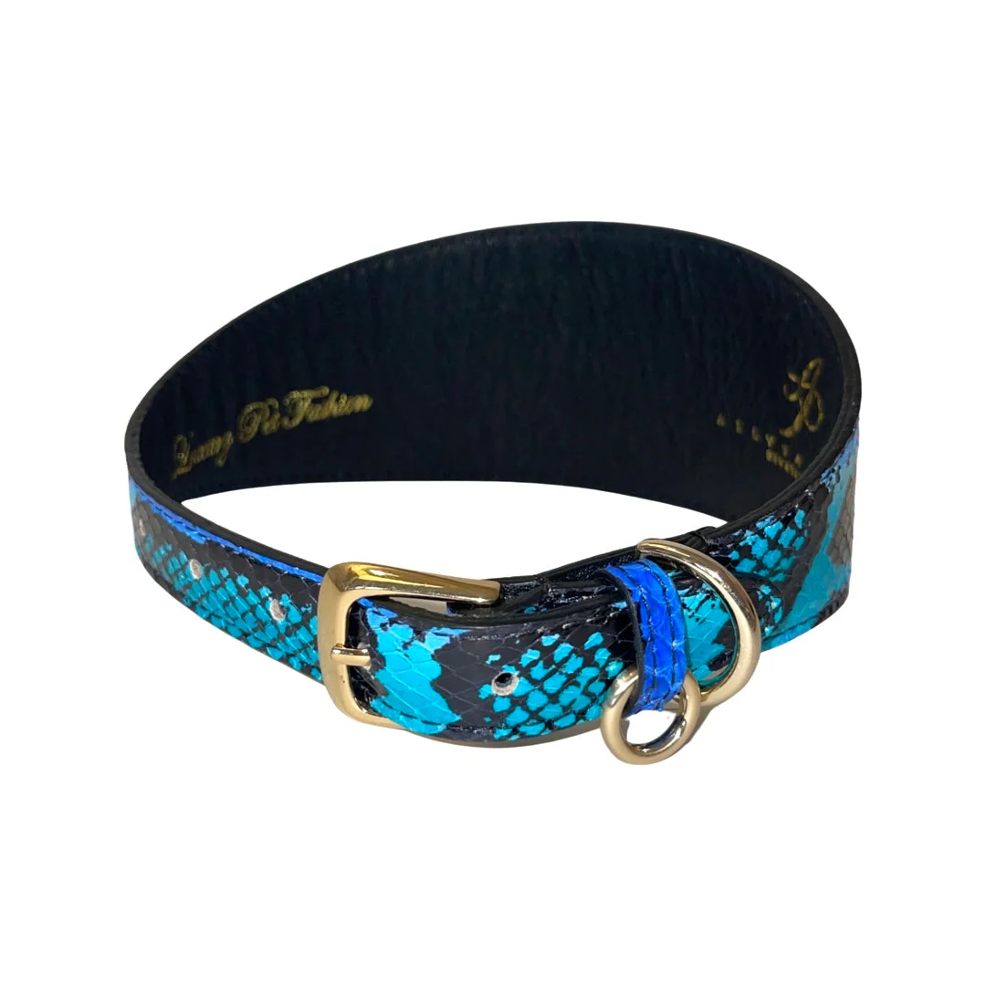 Electric/Turquoise Blue & Black 3” Wide Style Collar - Image 3