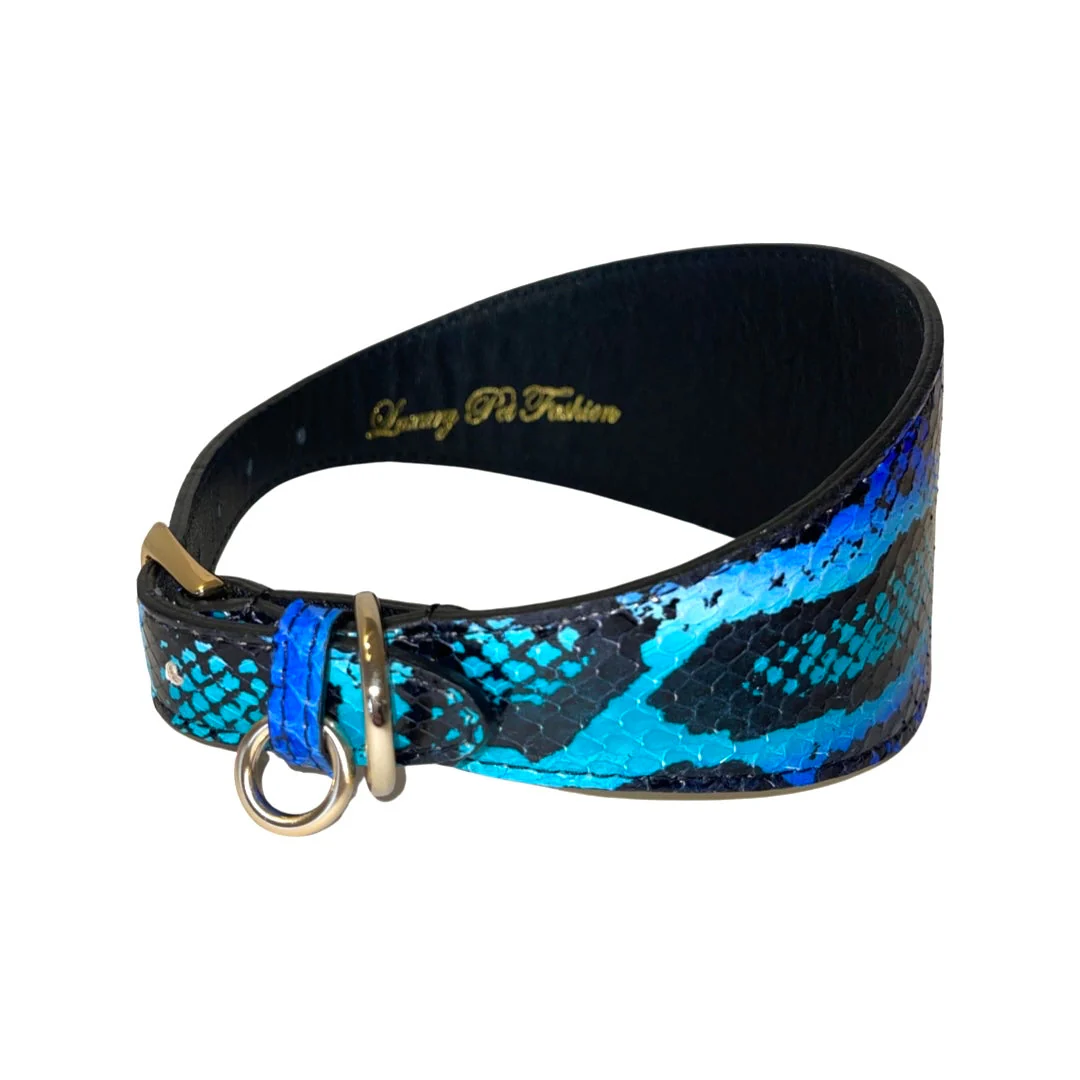 Electric/Turquoise Blue & Black 3” Wide Style Collar - Image 4