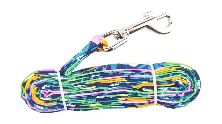 Fiesta Floral Pet Dress with Matching Leash - Image 3