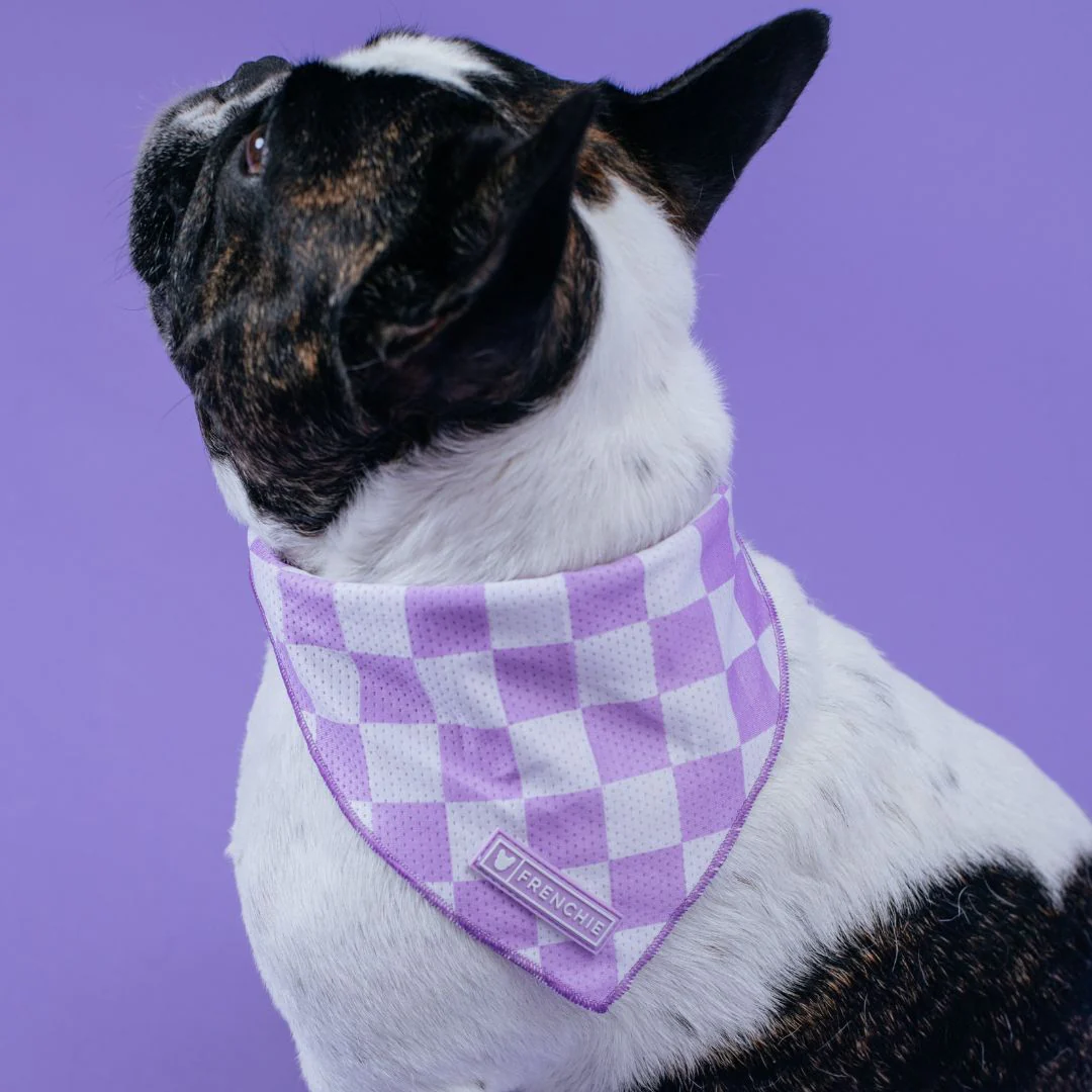 Frenchie Cooling Bandana - Lavender - Image 3