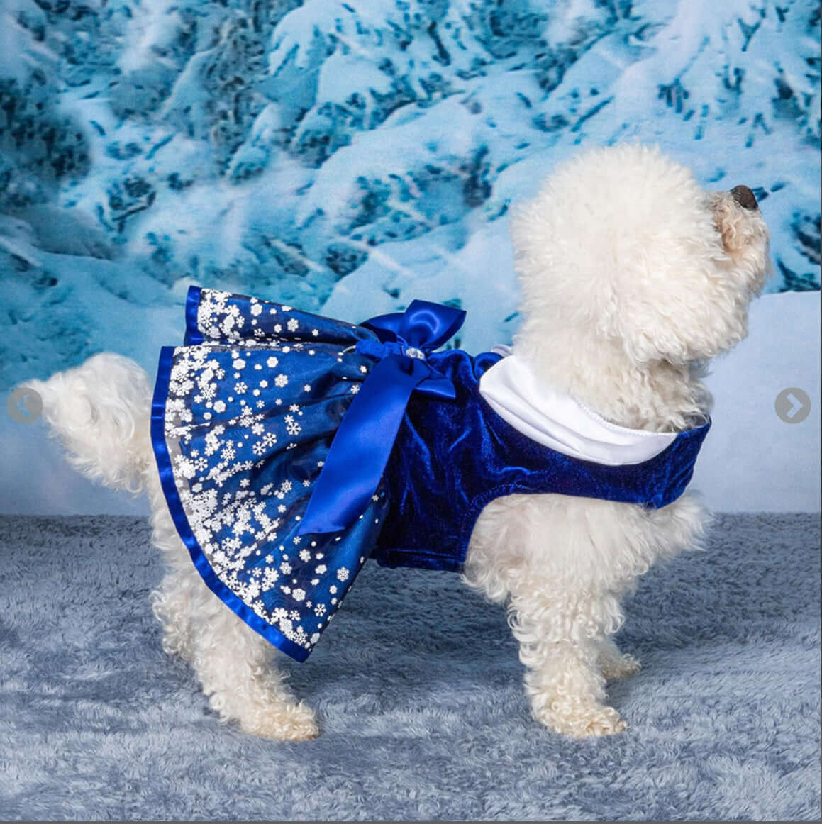 Holiday Dog Harness Dress - Snowflakes - Image 3