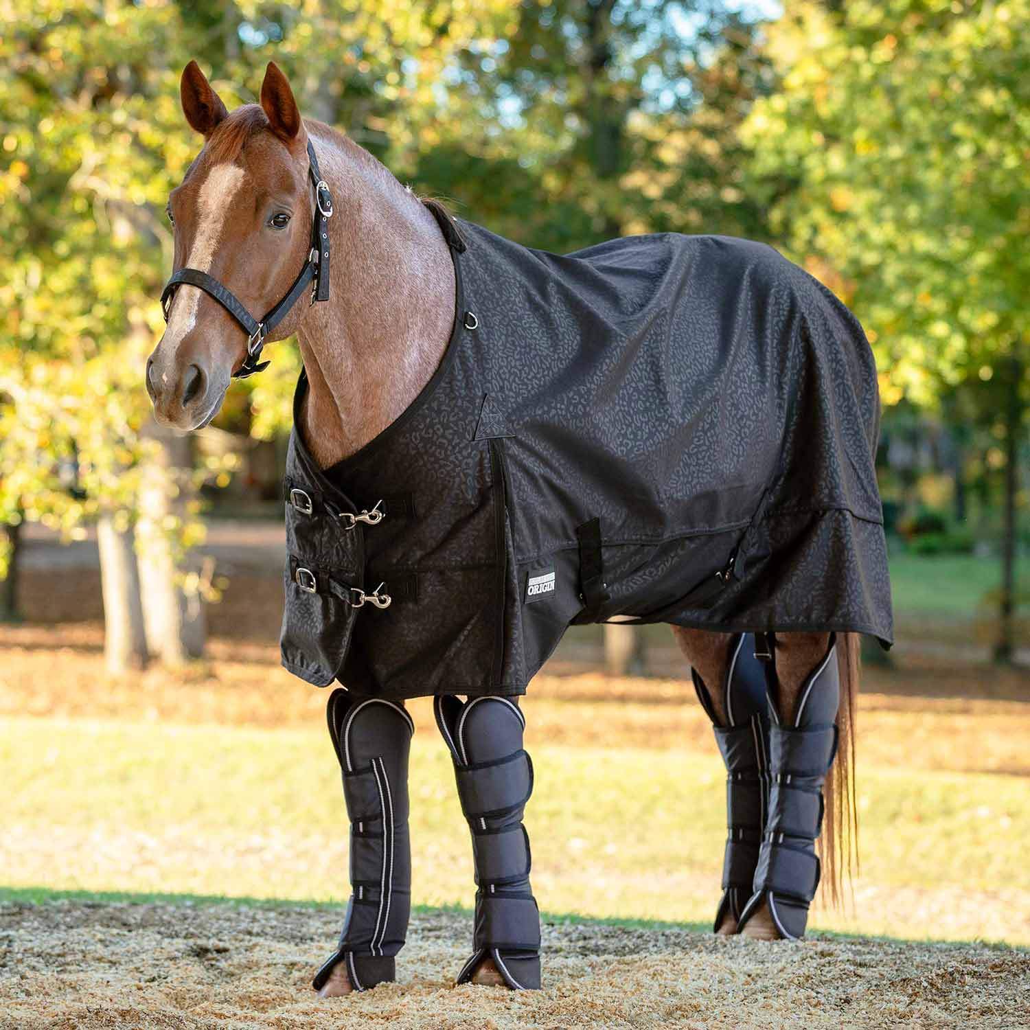 Jeffers Poplar Head Horse Shipping Boots, 4-Pack with Carry Bag - Image 5