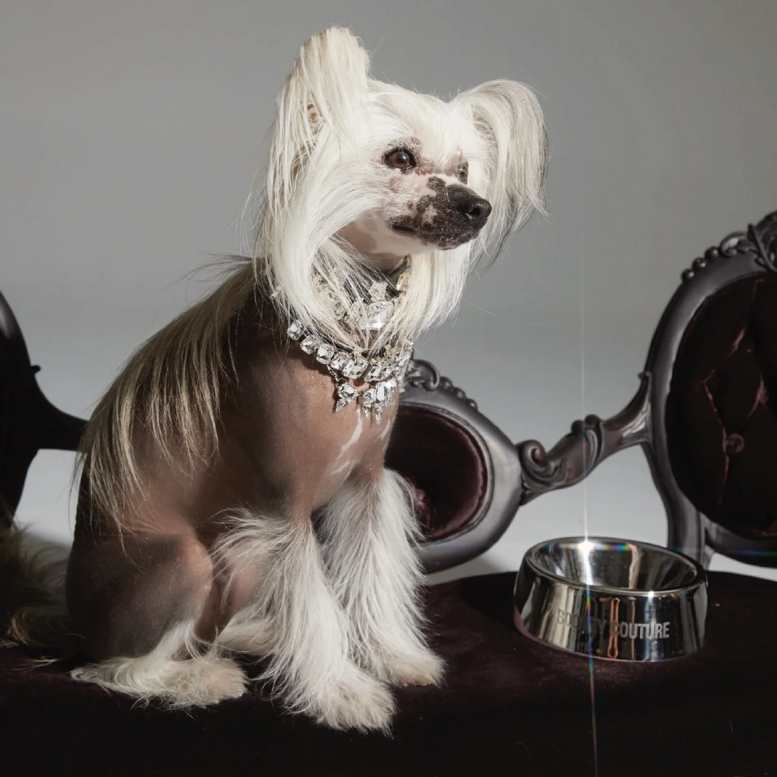 LICK OF SWAGGER BOWL - Image 6