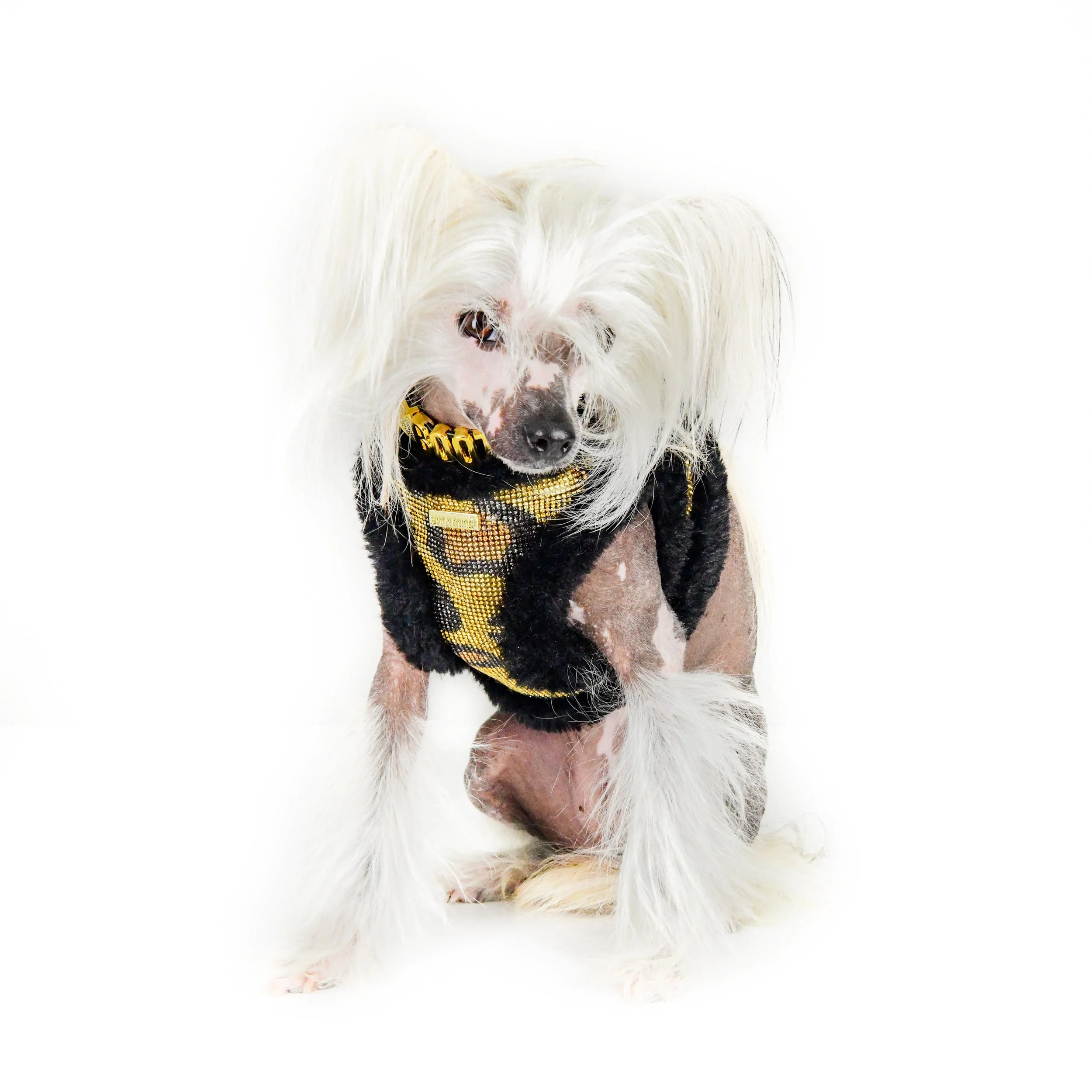 LOCK'N ROLL HARNESS - Image 12