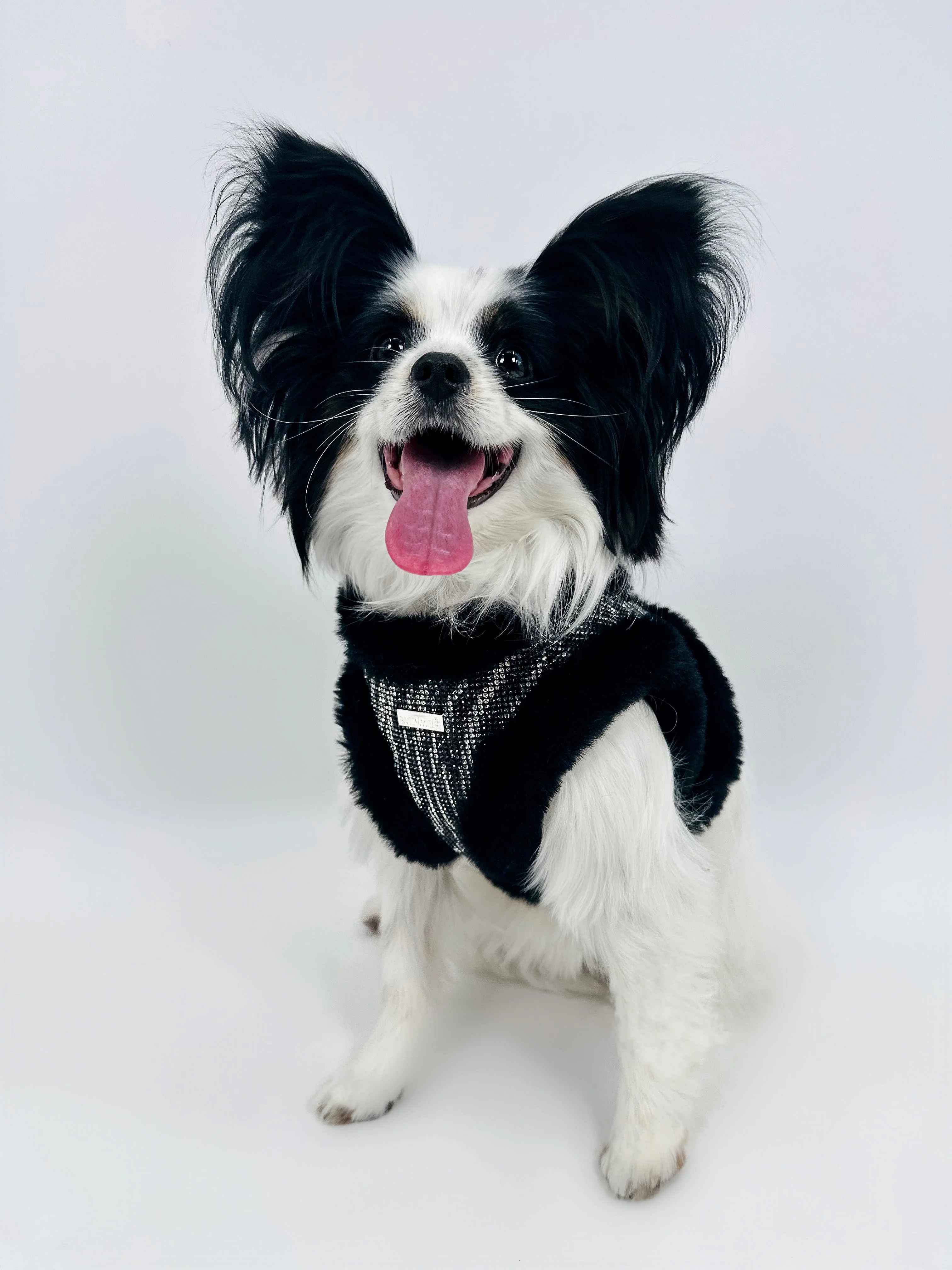 LOCK'N ROLL HARNESS - Image 15