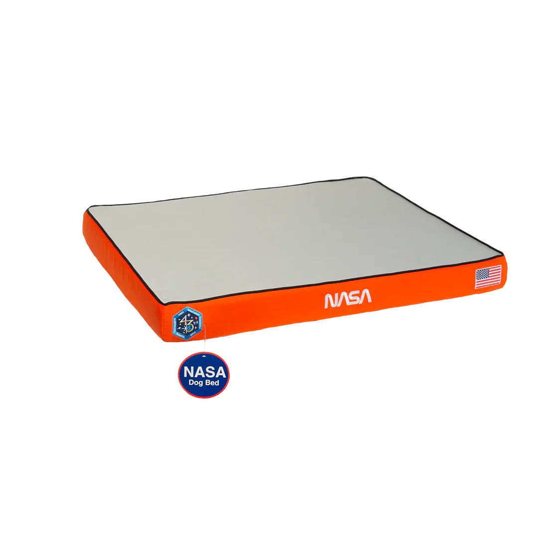 NASA Dog Bed in Nebula Blue - Image 5