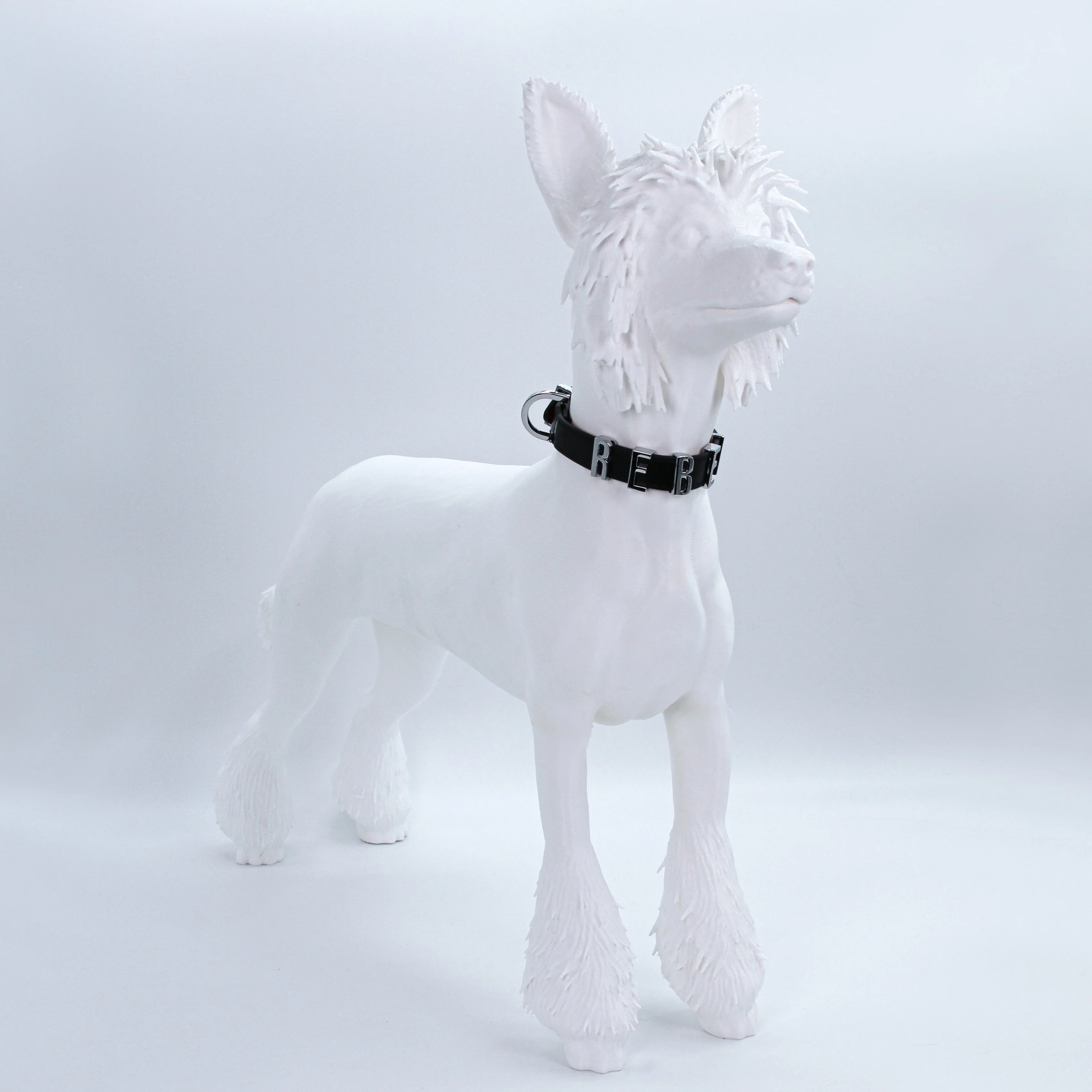 REBEL COLLAR - Image 4