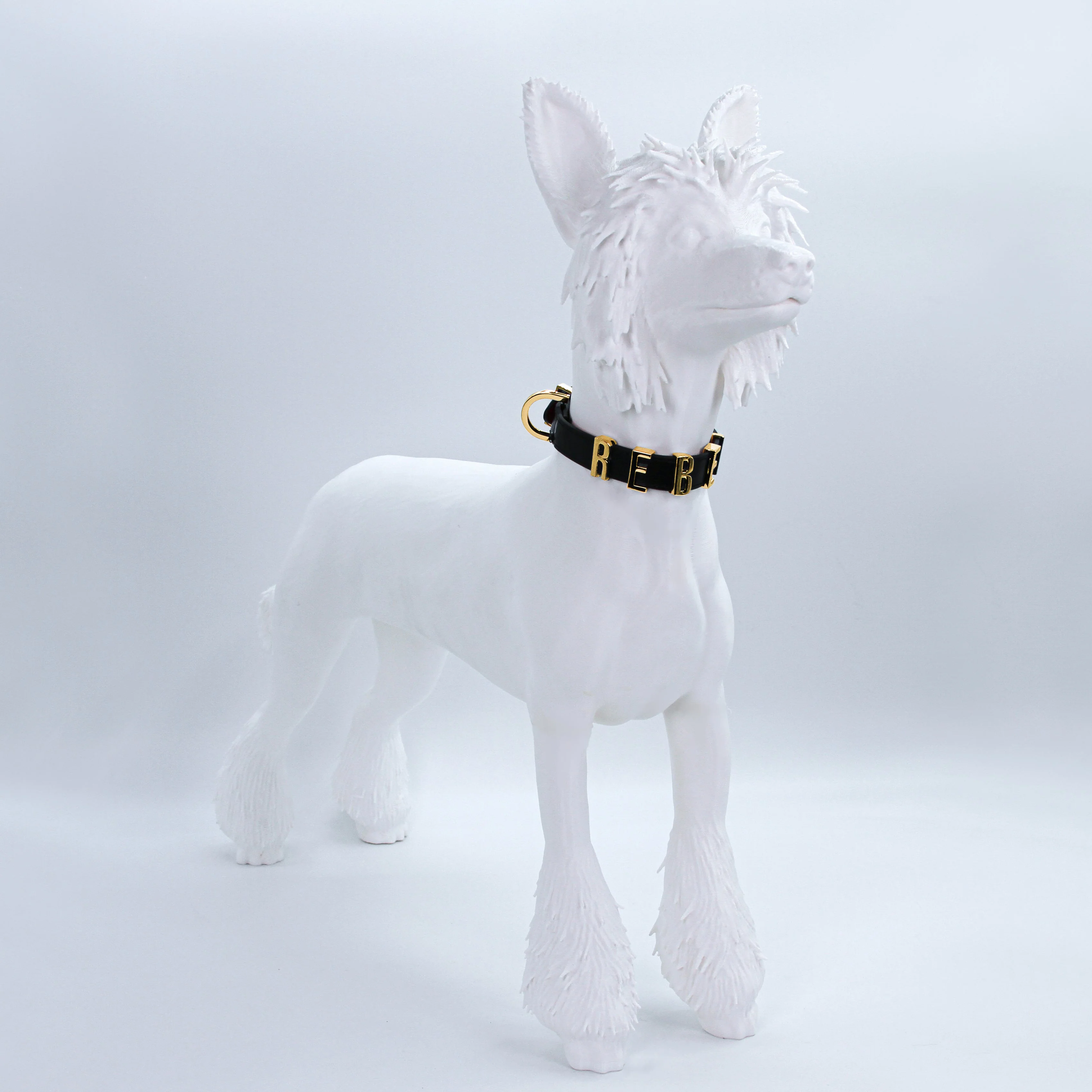 REBEL COLLAR - Image 7